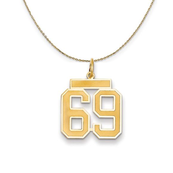 14k Yellow Gold, Jersey, Med Number 69 Necklace - 22 Inch - Picture 1 of 7